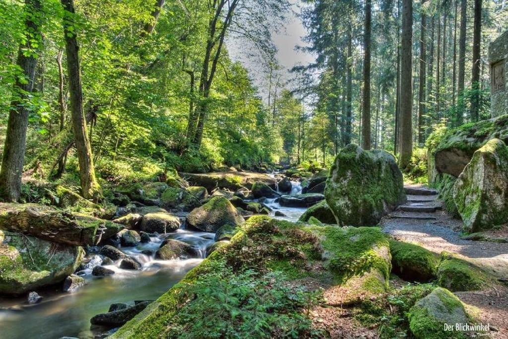 Cozy I Blockhuette Im Nationalpark I Ferienwohnung 뉴라이체나우 외부 사진