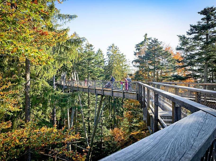 Cozy I Blockhuette Im Nationalpark I Ferienwohnung 뉴라이체나우 외부 사진